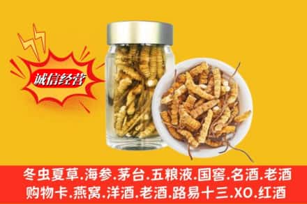 大同市天镇回收散虫草