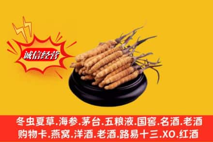 大同市天镇求购回收虫草多少钱每克